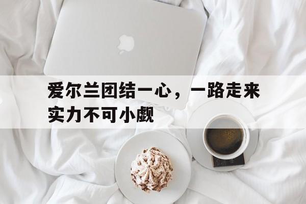 爱尔兰团结一心，一路走来实力不可小觑的简单介绍